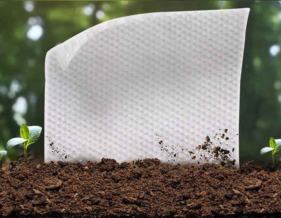 Biodegradable wipe sheet material shown in soil for sustainable wet wipes